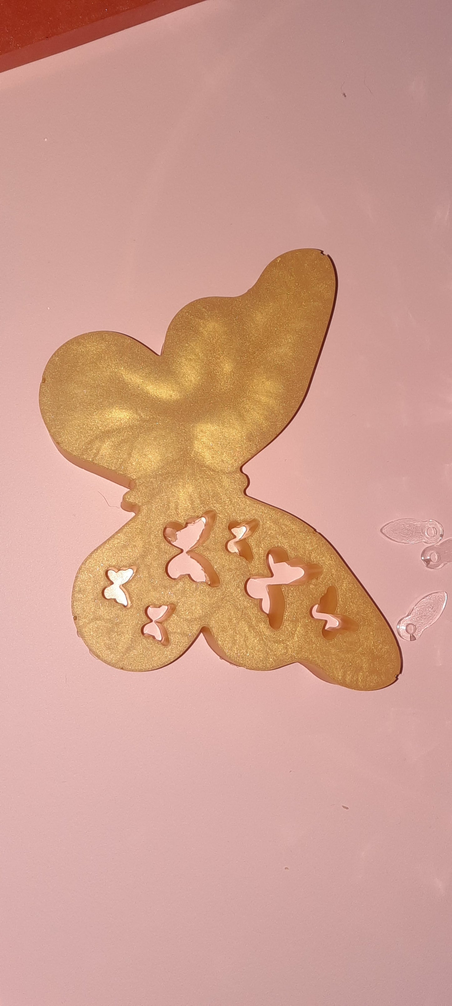 Vlinder in epoxy